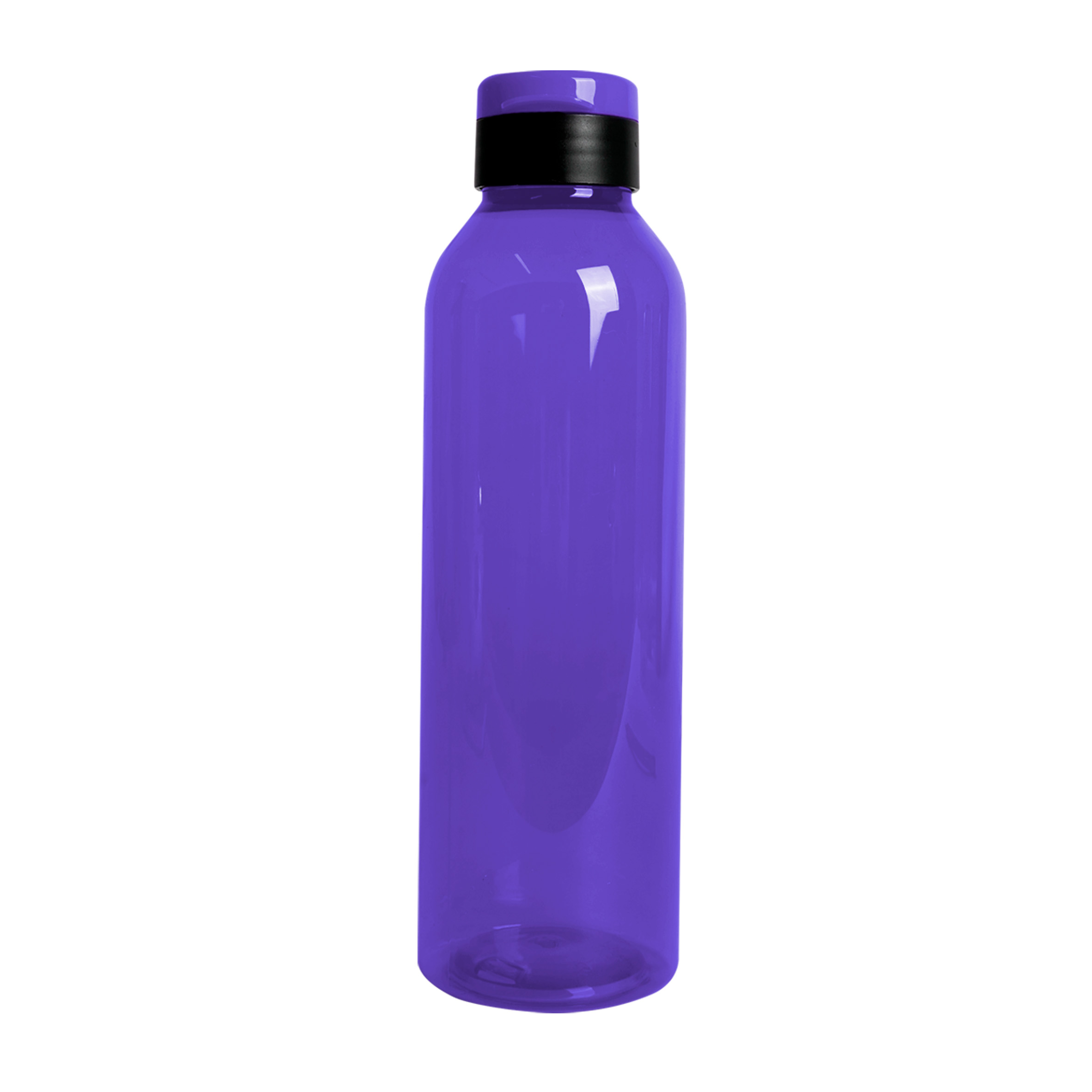 EE2004-MORADO